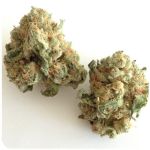 Шишки "White Widow"  (Белая вдова)  Гидропоника -  Бошка VHQ в Бутурлиновке